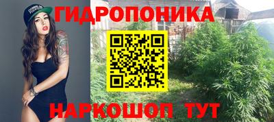 ПСИЛОЦИБИНОВЫЕ ГРИБЫ Балахна