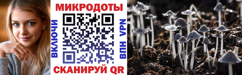 что такое наркотик  Воскресенск  ОМГ ОМГ зеркало  Псилоцибиновые грибы Cubensis 